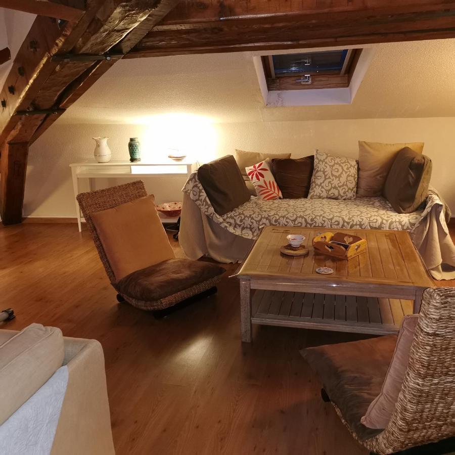Cosy And Calm In Grenoble City Heart With Free And Large Parking Q-Park Chavant Luaran gambar